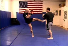 Bas Rutten's MMA Workout (Preowned)