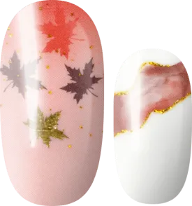 Dear Autumn