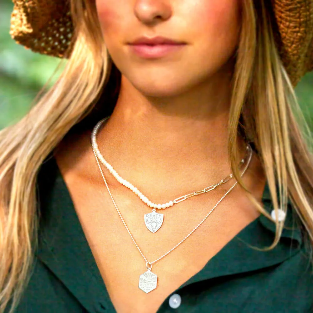 Hawaii Volcanoes National Park Charm, Silver
